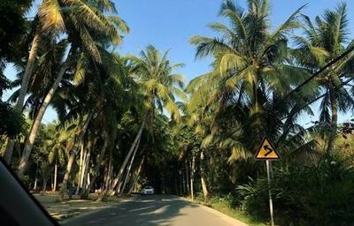 肇慶到海南自駕游攻略