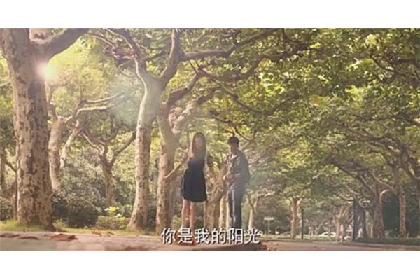 劇版何以笙簫默取景地 電影何以笙簫默取景