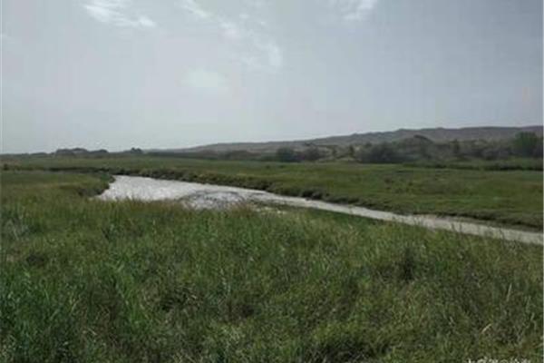 新疆葉城有哪些旅游景點 欄桿村位于哪里