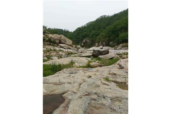 濰坊黑松林景區(qū)好玩嗎 濰坊臨朐有什么好玩的地方