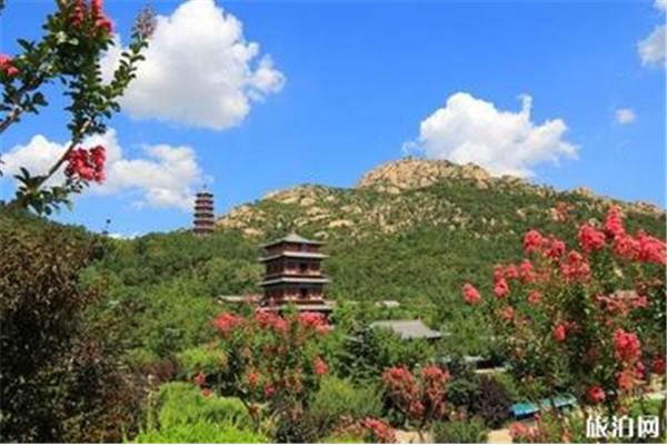 中國山東半島著名景區(qū)赤山法華寺門票80元
