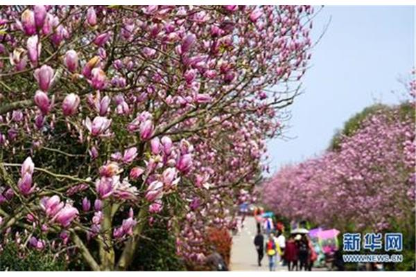 南昌鳳凰溝景區(qū) 黃馬鄉(xiāng)鳳凰溝景區(qū)